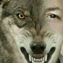 brandonweirdwolfwolf-blog