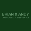 brianandandytreeservices-blog