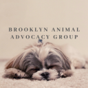 brooklynanimaladvocacygroup-blog