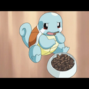 bsquirtle
