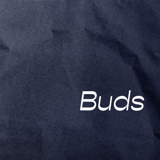 buds’s profile image