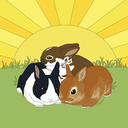 bunnies-and-sunshine