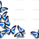 butterfliesandamessed-upsexlife