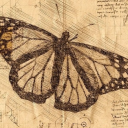 butterfly-writer