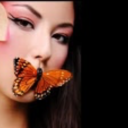 butterflyloz-blog