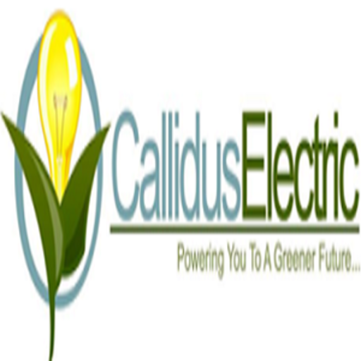calliduselectric’s profile image