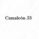 camaleon53-blog