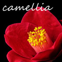 camellia-fav