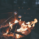 campfire-marshmallow avatar