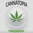 cannatopiaorganix-blog