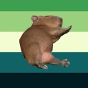 capybar00