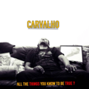 carvalho28-blog