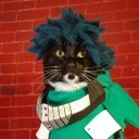 cat-cosplay