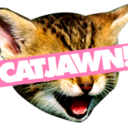 catjawn-blog