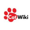catwiki4-blog