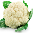 cauliflowermaterial