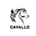 cavallocollections