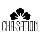 chasation-blog