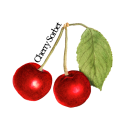 cherrysorbet01