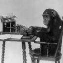 chimp-prolly-not-typing-hamlet