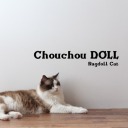 chouchoudoll