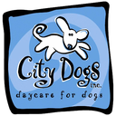 citydogsdc-blog