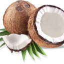 coconut12999