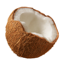 coconutcodes-blog