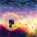 cosmic--dandelion
