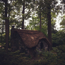 cottage-inthe-woods