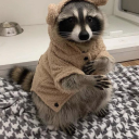 cottagecore-raccoon