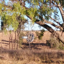 country-living-qld