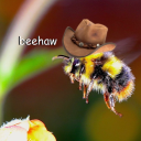 cowboy-bumblebee