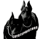 coyotepointhqs