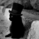 crazy-cat-in-a-top-hat