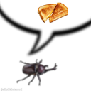cryptic-bug