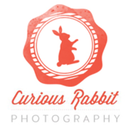 curious-rabbit-photography