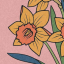 daffodil999