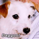 daggoo-the-dog