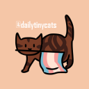 dailytinycats