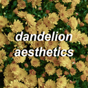 dandelionaesthetics-blog