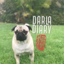 darladiary-blog