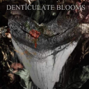 denticulate-blooms