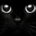 deranged-black-kitten