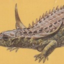 desmatosuchusspines
