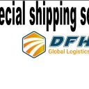 dfh-global-logistic