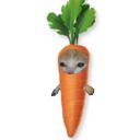 disappointed-carrot-mush
