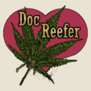 doctorreefer-blog