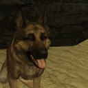 dogmeat-and-other-wastland-pups