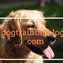 dogtrainingblogs